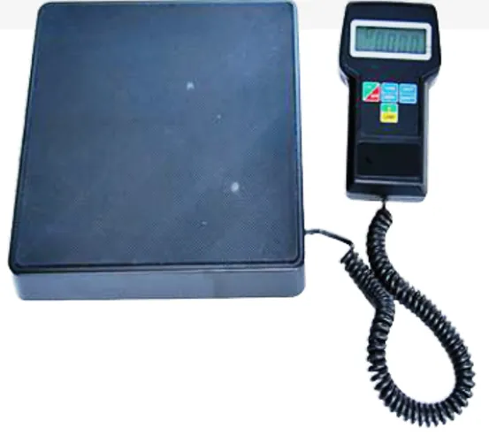 Elektroninės svarstyklės 12.031